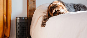 Nasty Home Odors Blog