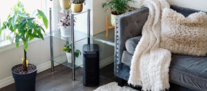 Spring Cleaning Blog 1