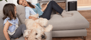 a mother and daughter pet their dog on a grey couch next to an air purifier for allergies