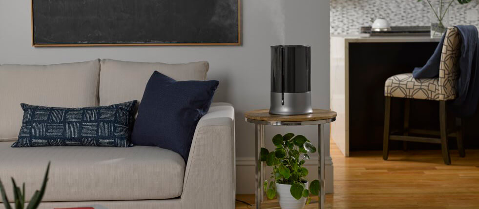 Humidifier Vs. Diffuser: What’s The Difference?