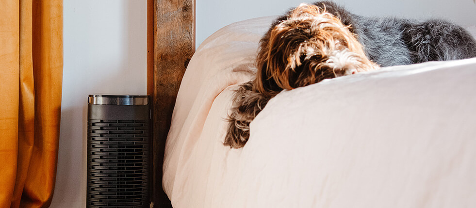 The Top 3 Culprits of Nasty Home Odors (and What to Do About Them)